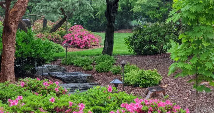 Why Garden? 17 Why Garden? 494103160 1421628985459477 5556666222105315375 N