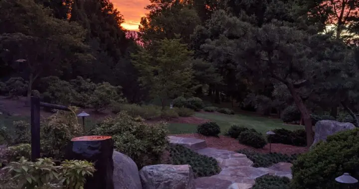 Always Sunrise Somewhere... 494560022 1421484092140633 8691783098135637830 N