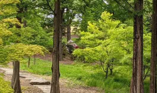 A Garden Metaphor…_featured_image