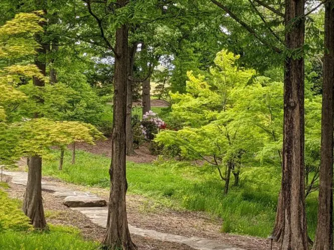 A Garden Metaphor…_featured_image