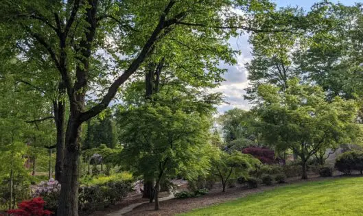 How Green is My Valley_featured_image