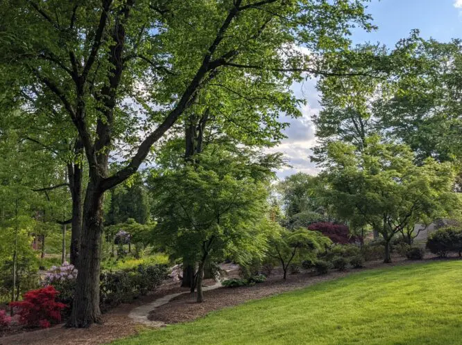 How Green is My Valley_featured_image