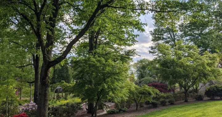 How Green Is My Valley 10 How Green Is My Valley 490704009 1410301766592199 5914650586563095891 N