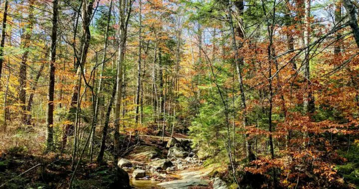 Keep Close To Nature'S Heart 501067385 1441810193441356 337643356025875189 N