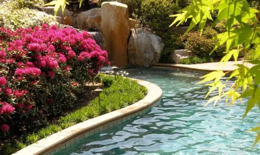 A Garden Legacy_featured_image