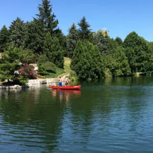 Green In Summer 505462753 1453282592294116 172726162023895070 N