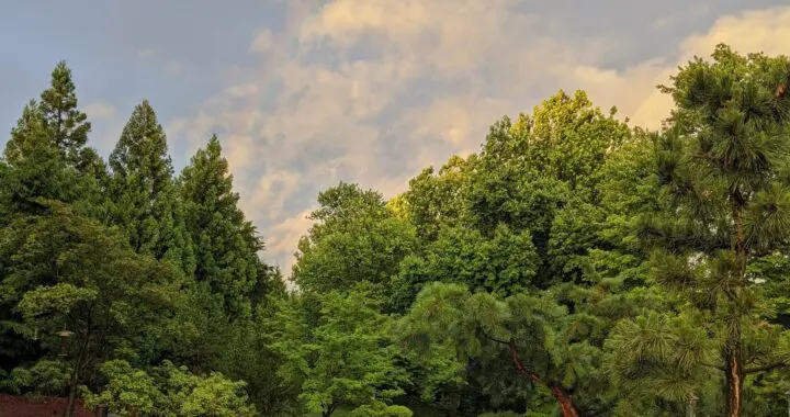 Everywhere Beauty 505586743 1453304632291912 5804759188009791038 N