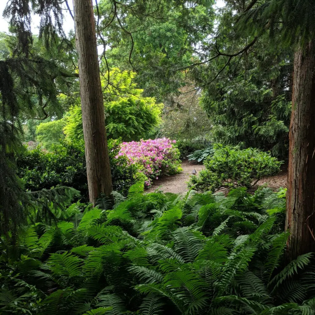 Hanselman Landscape Job Description: Create Beauty &Amp; Restore Souls 20 Hanselman Landscape Job Description: Create Beauty &Amp; Restore Souls 507757120 1458224495133259 3953523629694362609 N