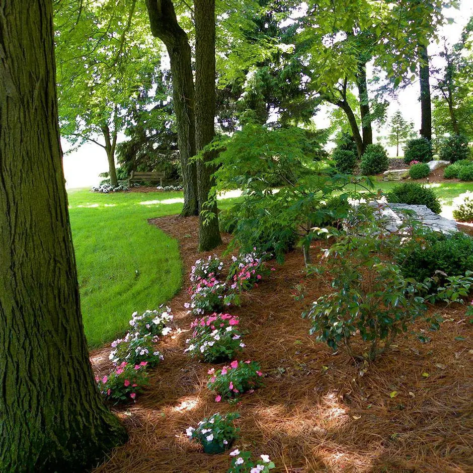 Hanselman Landscape Job Description: Create Beauty &Amp; Restore Souls 21 Hanselman Landscape Job Description: Create Beauty &Amp; Restore Souls 508075168 1458224141799961 1263419017325258080 N