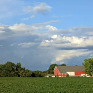 Storms In August 515435726 1480578622897846 1263410539138928955 N