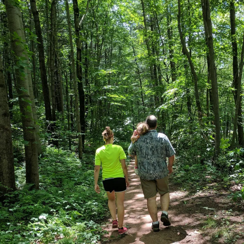 Take A Forest Bath; It May Be Good For You! 1 Take A Forest Bath; It May Be Good For You! 516524193 1475200430102332 194158223992158672 N