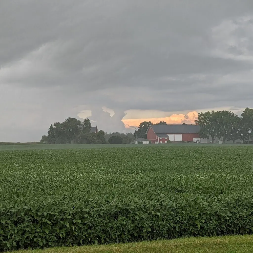 Storms In August 2 Storms In August 518279250 1480578759564499 8244560059444460572 N