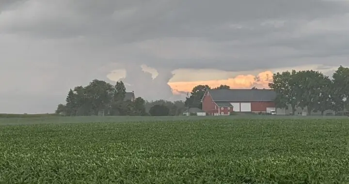 Storms In August 19 Storms In August 518279250 1480578759564499 8244560059444460572 N