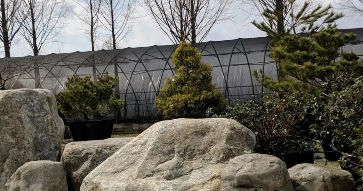 Bringing You The Best In 'Classic Rock' 14 Bringing You The Best In 'Classic Rock' 514314722 1481593799462995 597370933627820758 N