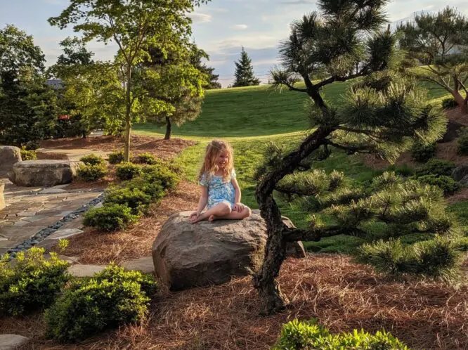 This is My Rock_featured_image