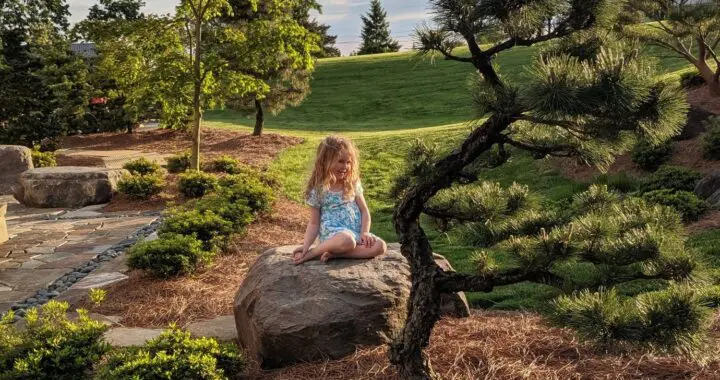 This Is My Rock 13 This Is My Rock 537403622 1515076669448041 8186721997578283175 N