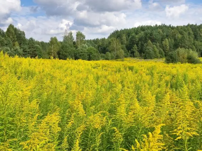 September_featured_image