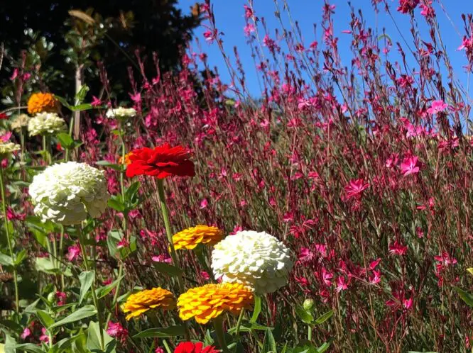 Early Autumn_featured_image