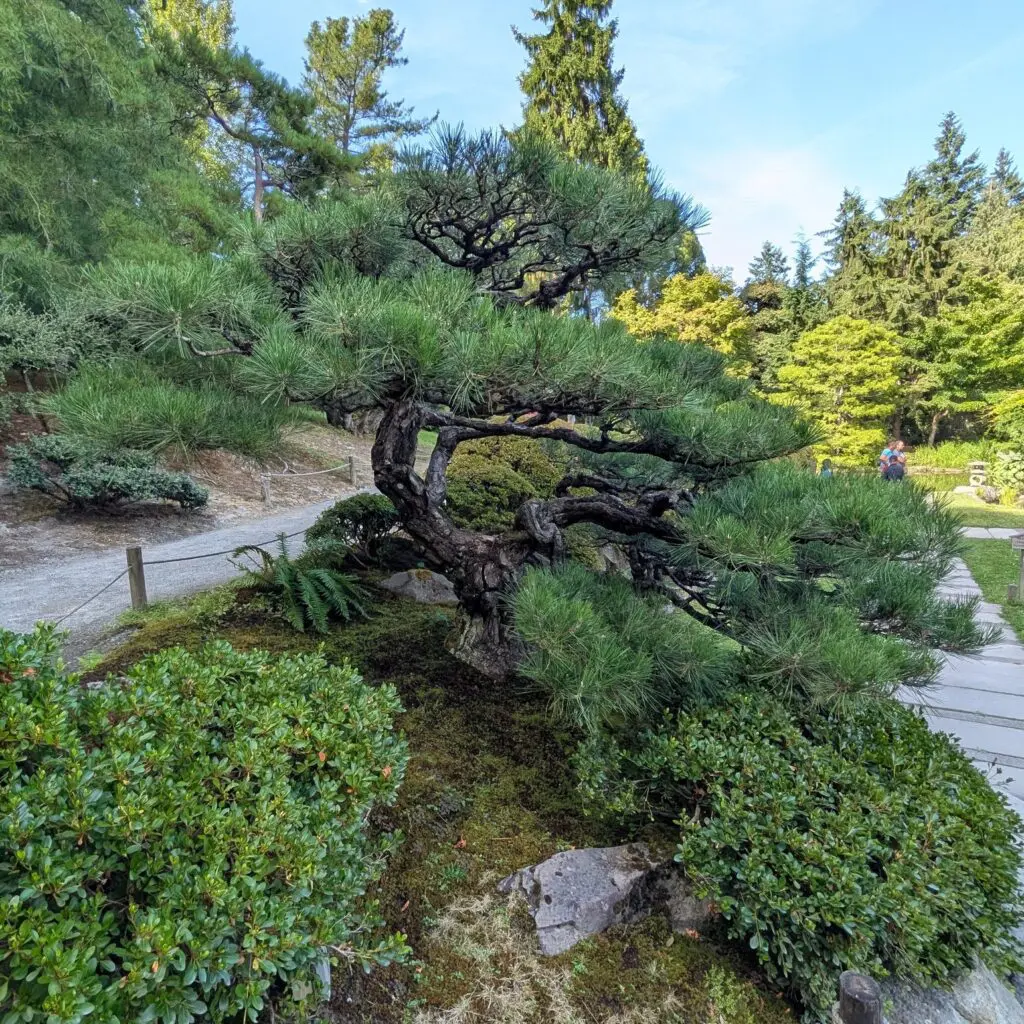 Garden Bucket List (Part 3) 4 Garden Bucket List (Part 3) 544608092 1527162578239450 5812622468354285664 N