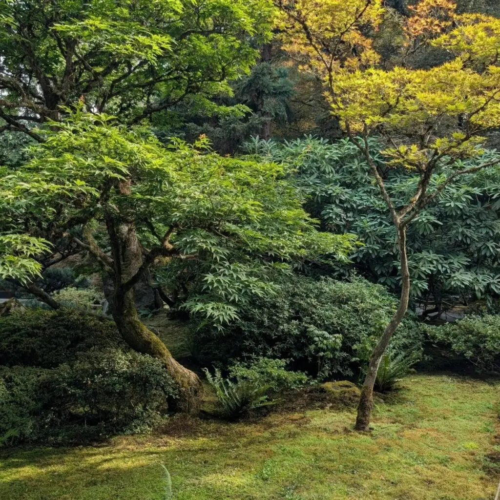 Garden Bucket List (Part 3) 1 Garden Bucket List (Part 3) 544622987 1527169774905397 6588844413178493762 N