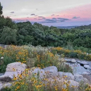 Early Autumn 3 Early Autumn 544897728 1526495881639453 4013106225348735143 N