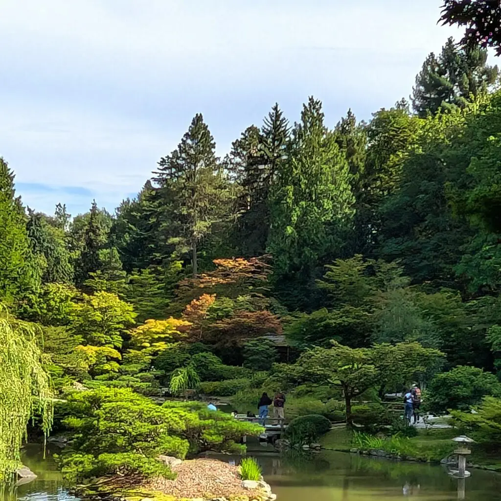 Garden Bucket List (Part 3) 2 Garden Bucket List (Part 3) 545334698 1527171494905225 7797778629798035085 N