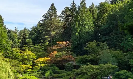 Garden Bucket List (Part 3)_thumbnail
