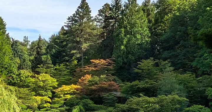 Garden Bucket List (Part 3) 1 Garden Bucket List (Part 3) 545334698 1527171494905225 7797778629798035085 N