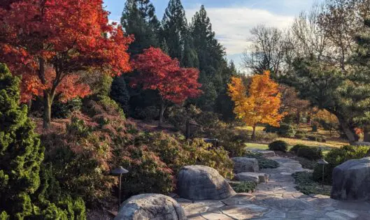 The Falling Leaves_featured_image