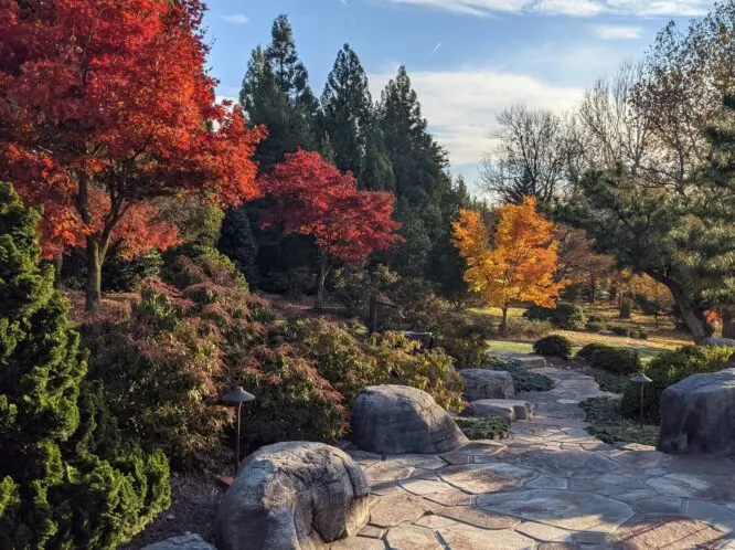 The Falling Leaves_featured_image