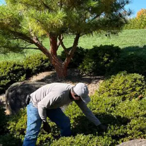 Garden Care Tips For Early Autumn 8 Garden Care Tips For Early Autumn 547367753 1532294714392903 2483294220062693794 N