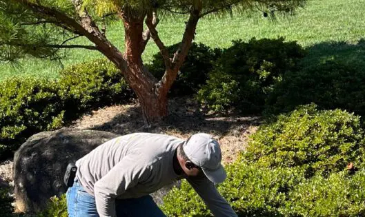 Garden Care Tips For Early Autumn_featured_image