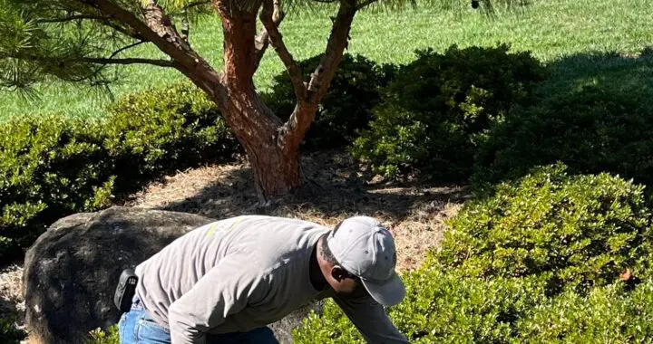 Garden Care Tips For Early Autumn 12 Garden Care Tips For Early Autumn 547367753 1532294714392903 2483294220062693794 N