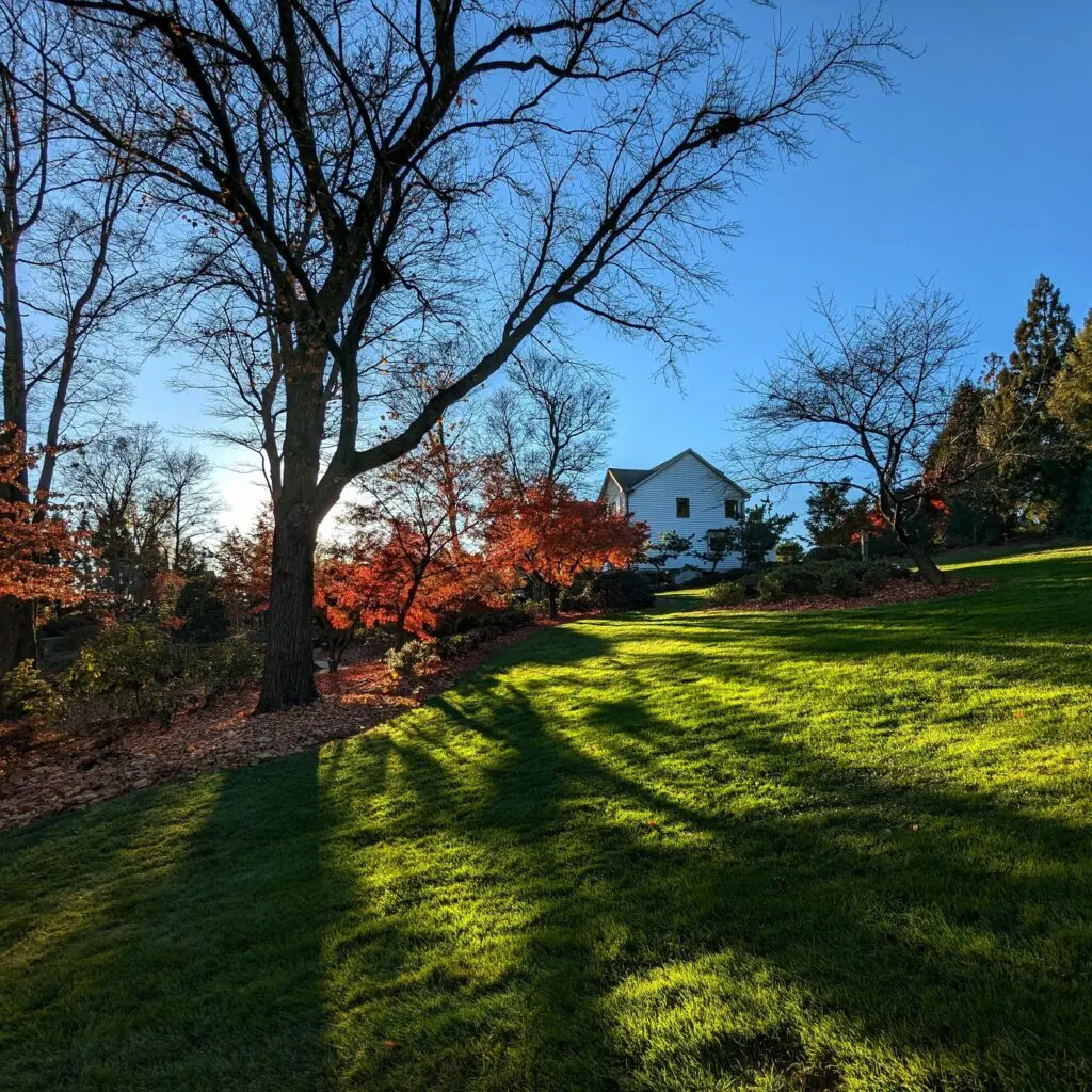 In November 8 In November 558411951 1550756175880090 5951104538448438100 N