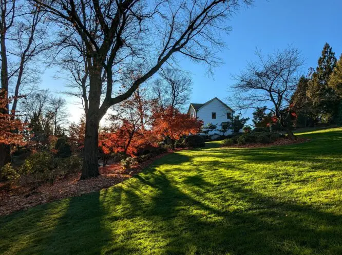 In November_featured_image