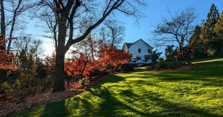 In November 558411951 1550756175880090 5951104538448438100 N