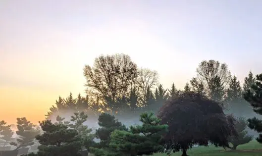 Bright November Day_thumbnail