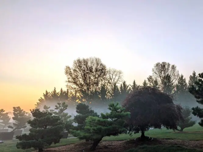 Bright November Day_featured_image