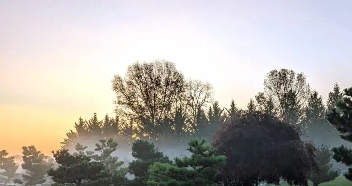 Bright November Day 559515703 1550734179215623 8530623214659856307 N