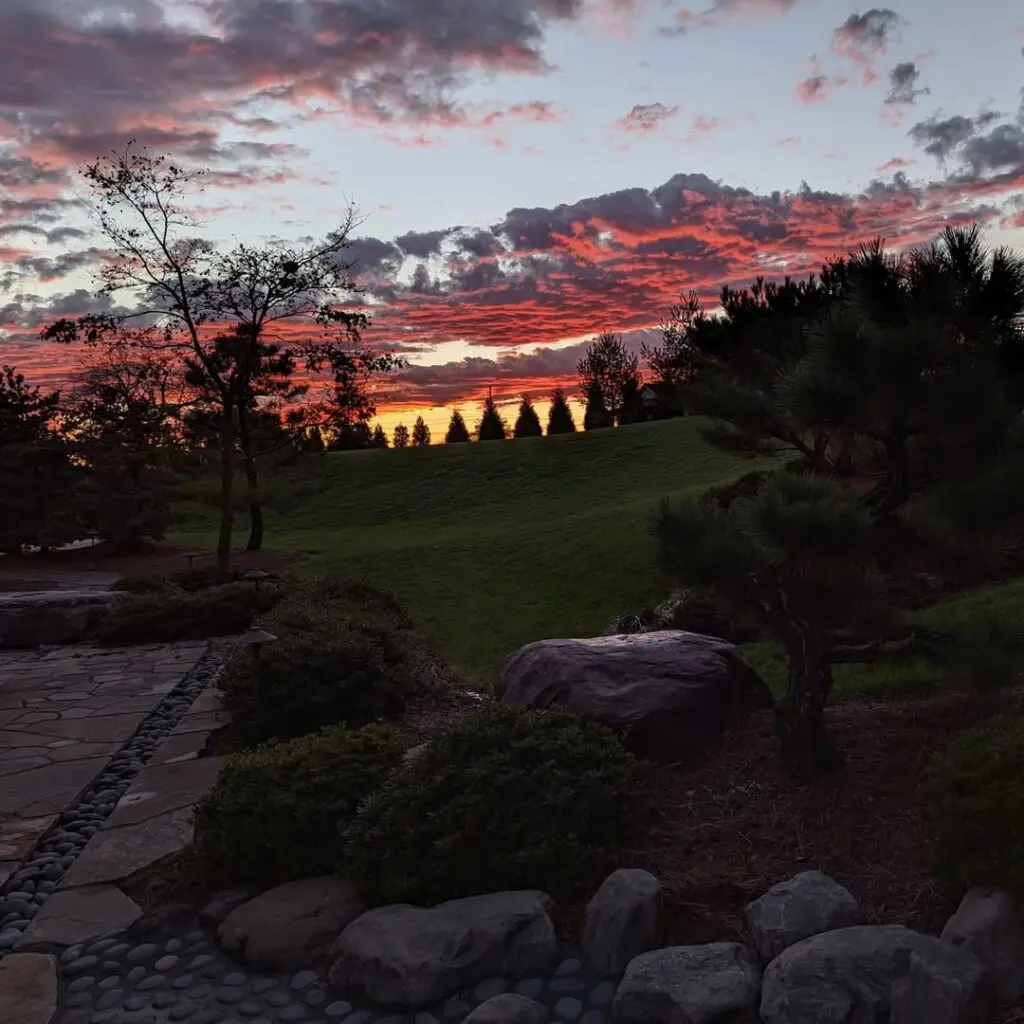 It Was November 8 It Was November 560328395 1550751692547205 3607061899991457924 N