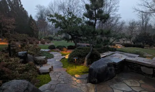 The True Lover of Rain_featured_image