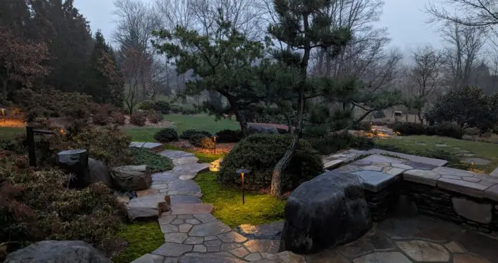 The True Lover Of Rain 575120520 1575916360030738 8908068447992938827 N