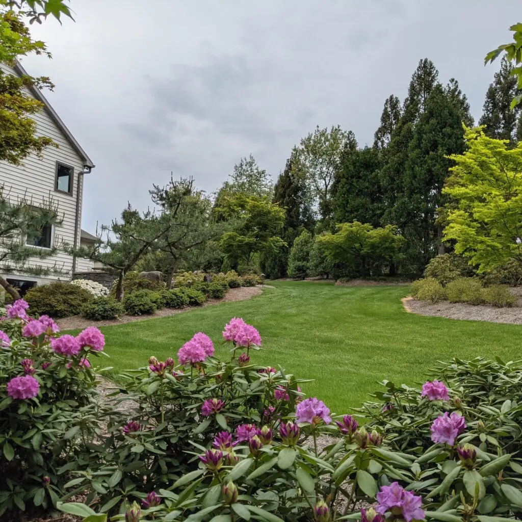 Turn Thanksgiving Into Everyday Thanks-Living 555715441 1544210309868010 2518463275549842766 N