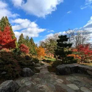 An Old-Time Thanksgiving 559420635 1550750705880637 7891266044851980866 N