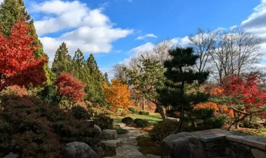 An Old-Time Thanksgiving_featured_image