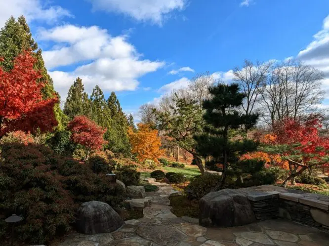 An Old-Time Thanksgiving_featured_image