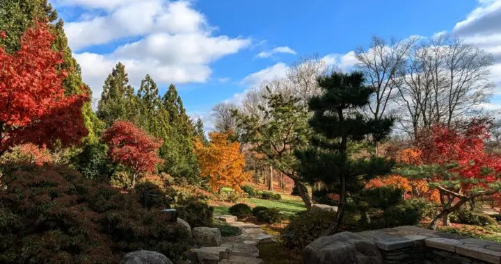 An Old-Time Thanksgiving 559420635 1550750705880637 7891266044851980866 N