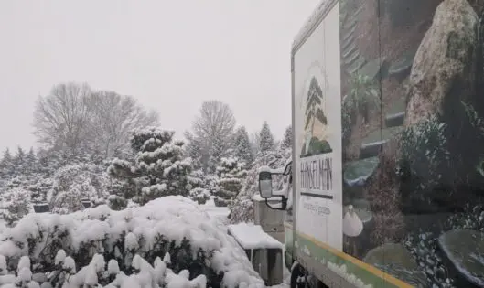 Living Art: Sculptures in the Making_thumbnail