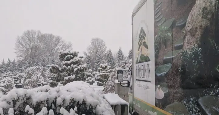 Living Art: Sculptures In The Making 574034435 1575818660040508 8467286033325102990 N