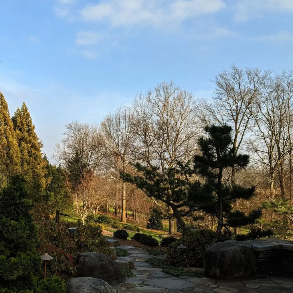 December Is Here.... 8 December Is Here.... 574070892 1575769040045470 4424782971178640785 N